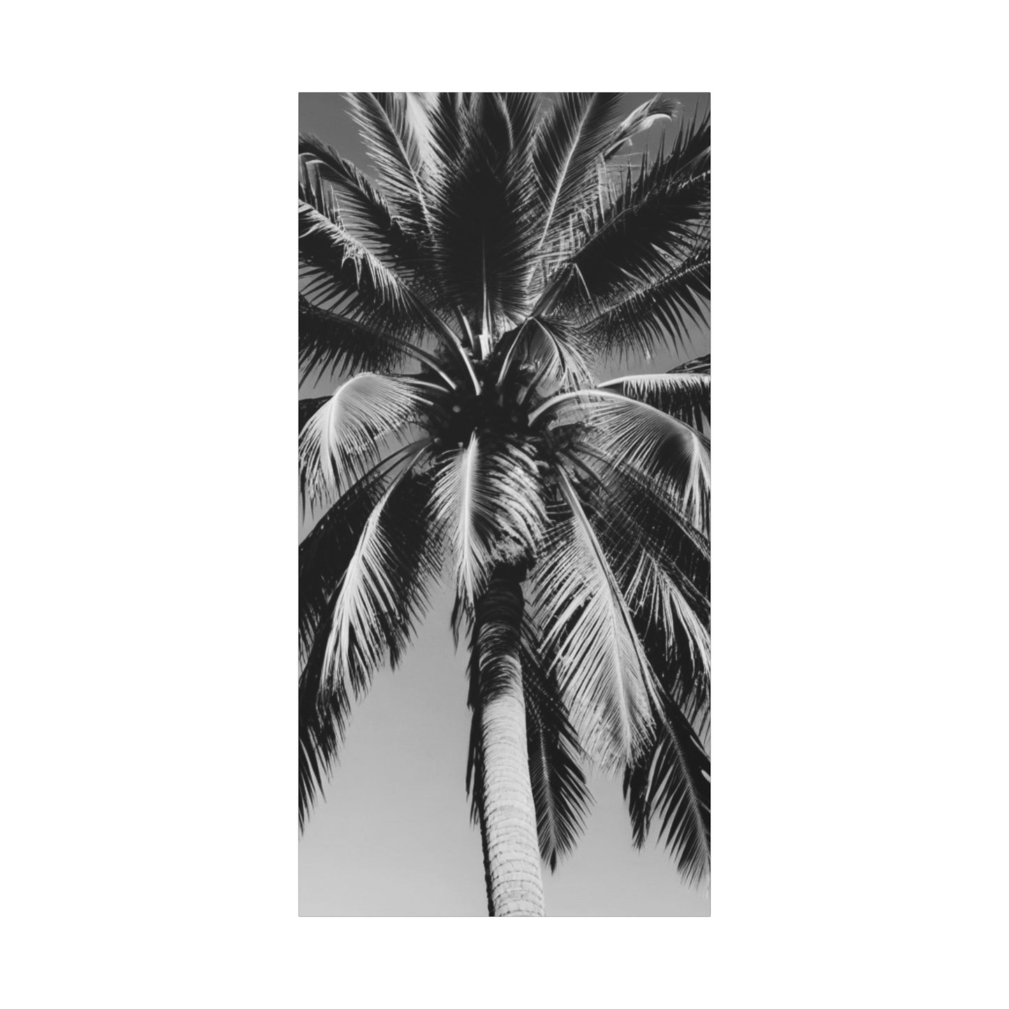 00174 Matte Stretched Canvas 1.25”