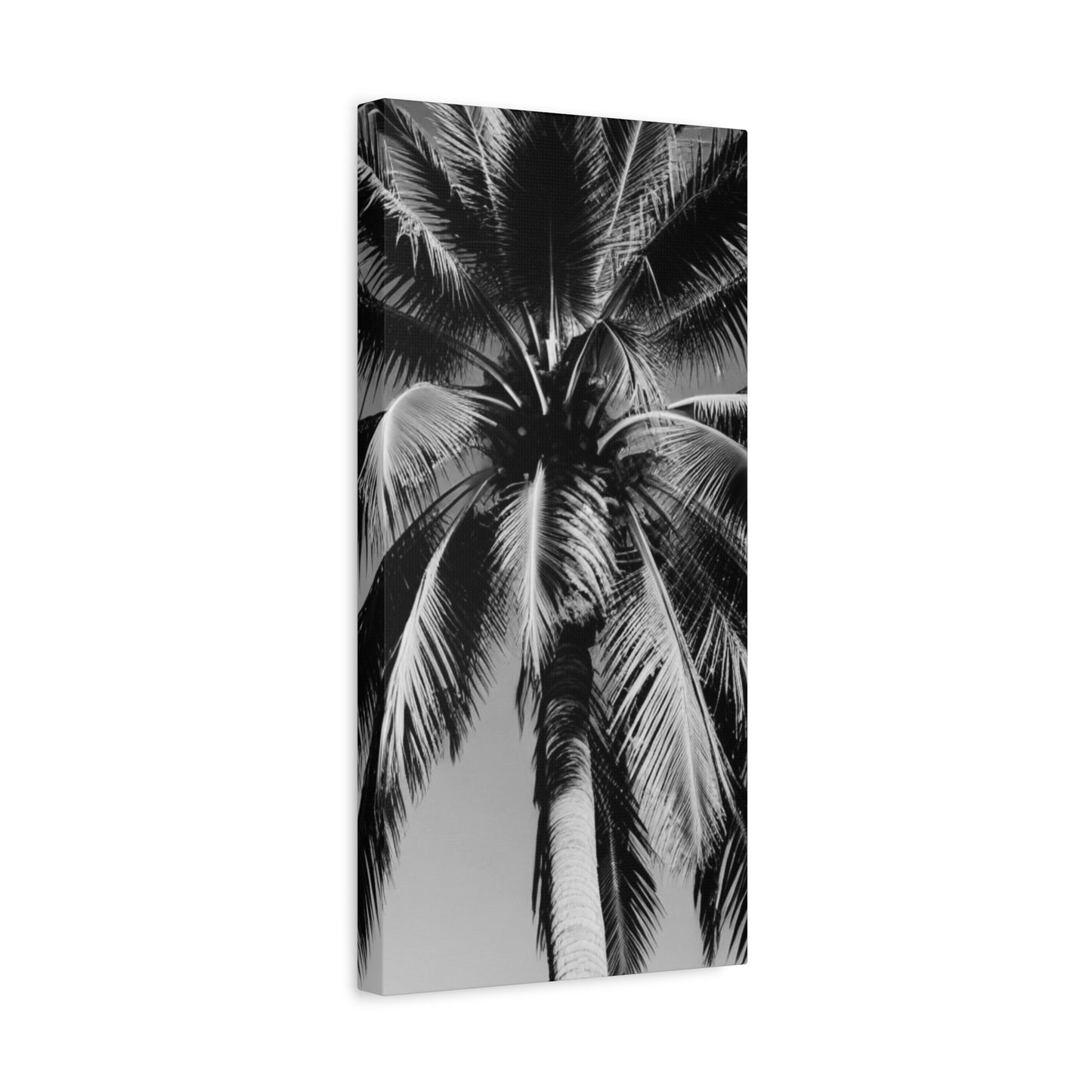 00174 Matte Stretched Canvas 1.25”