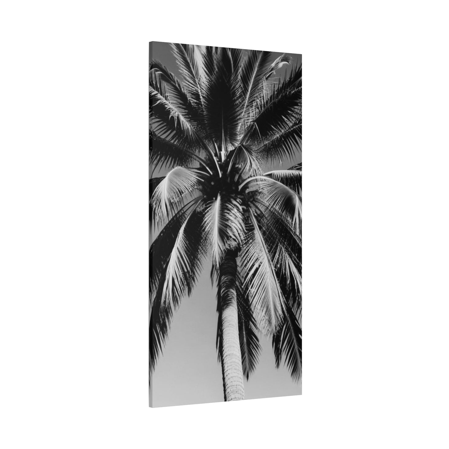 00174 Matte Stretched Canvas 1.25”
