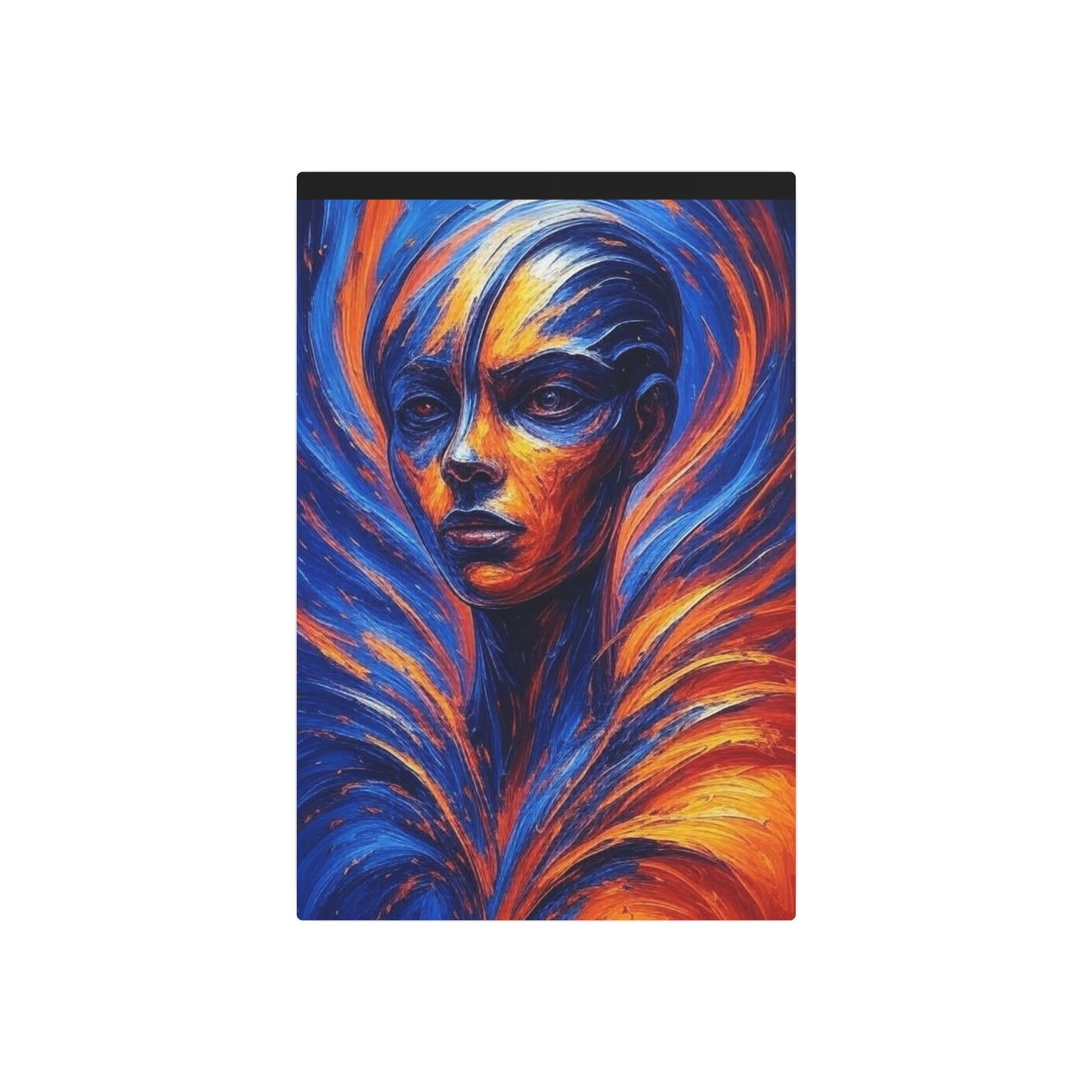 00531  Metal Art Print