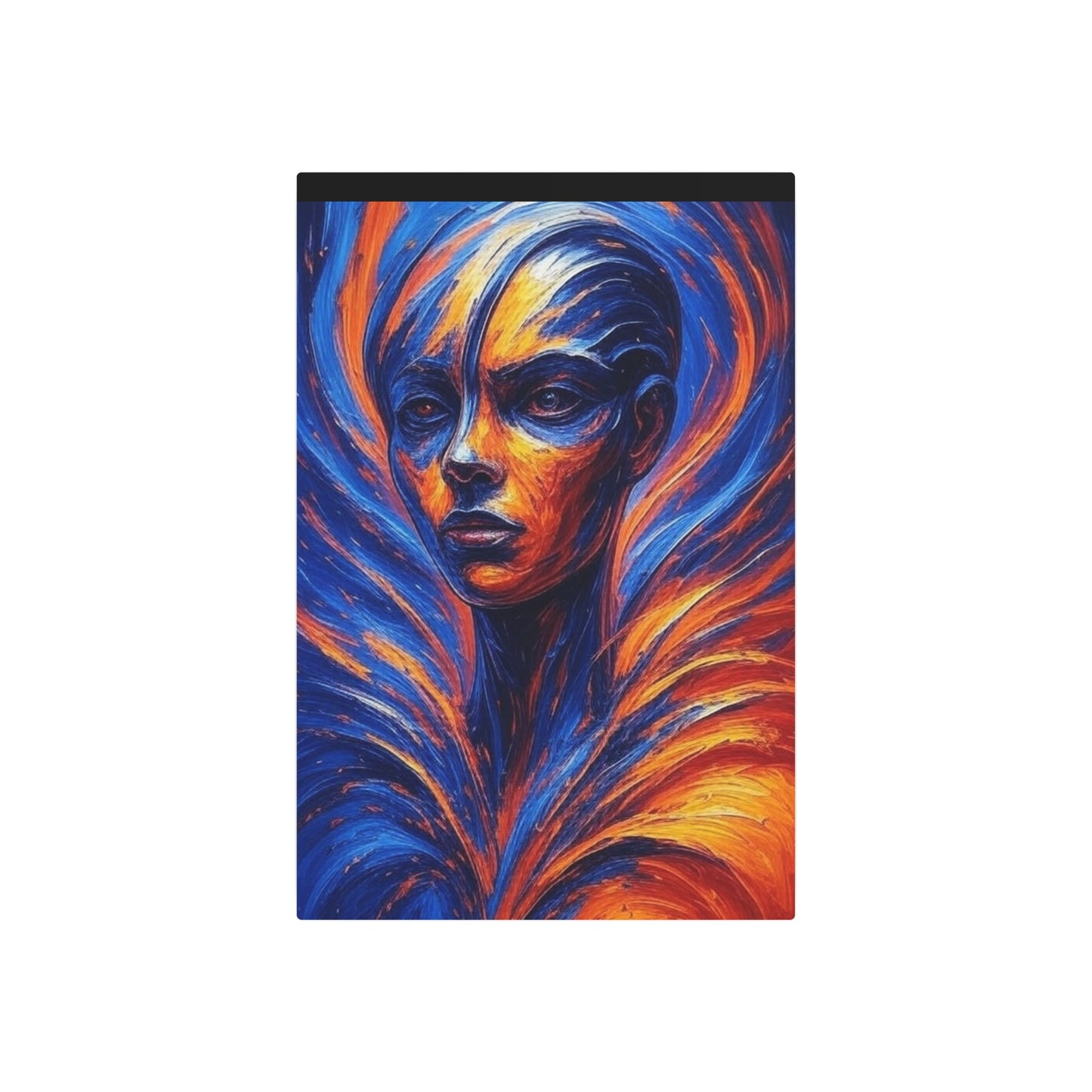 00531  Metal Art Print